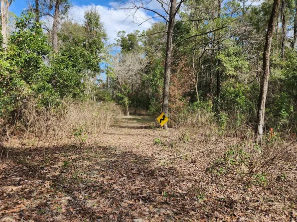 1217 SW Kentucky St, Fort White, FL 32038