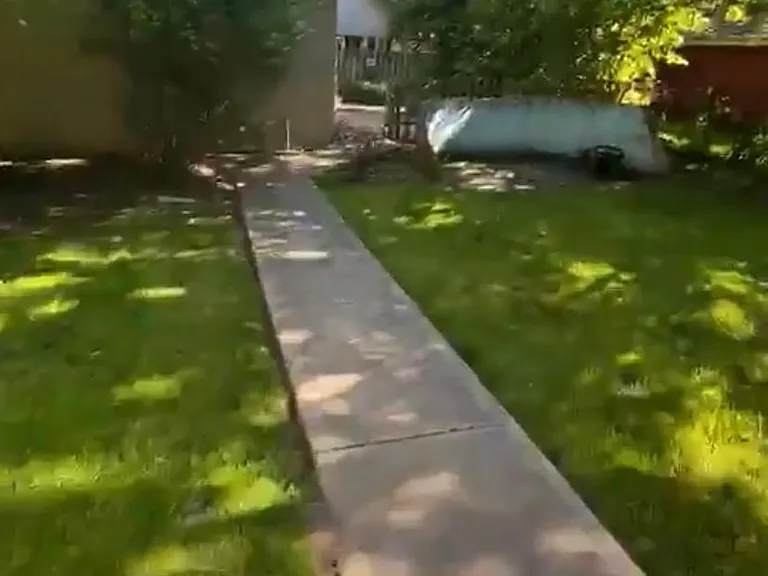 Walkway in back yard