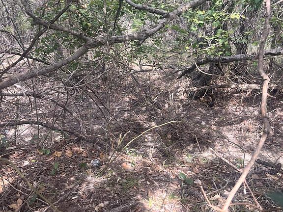 5th image of 105 E Ranch Rd #337