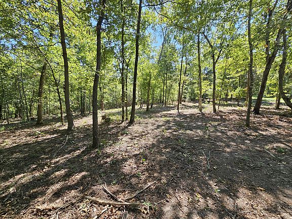 2nd image of Tract 4 C Creekwood Lane