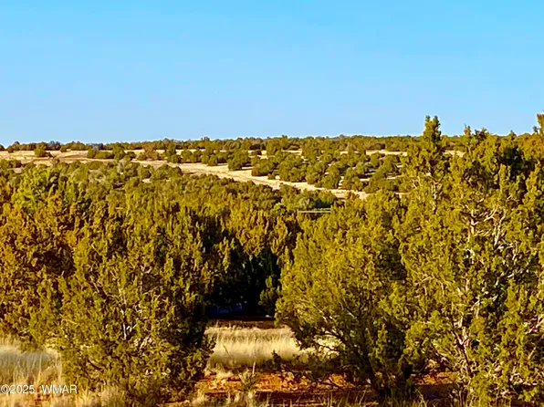 1965 Tee St, Show Low, AZ 85901