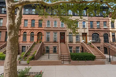 393 Park Place