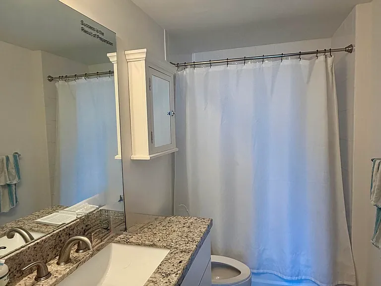 1250 S Miami Ave #2412 — Photo 9