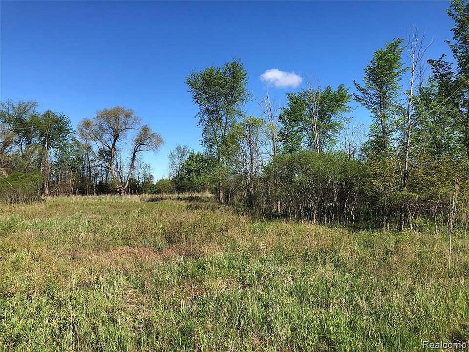 PARCEL Graham Rd Imlay City, MI | Zillow