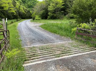 Seven Springs Hlw Rd, Castlewood, VA 24224