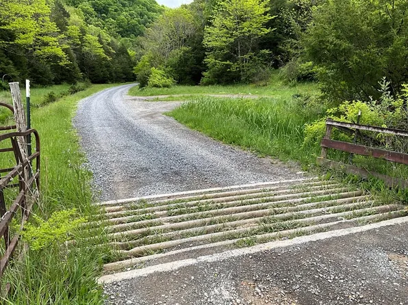 Seven Springs Hlw Rd, Castlewood, VA 24224