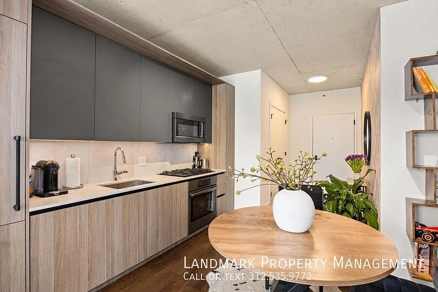 234 W Polk St Unit 2508 — Photo 4