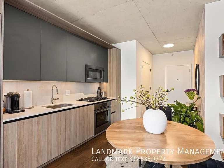 234 W Polk St #2508 — Photo 4