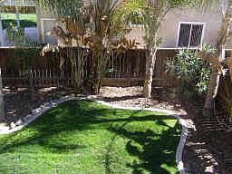 Backyard view