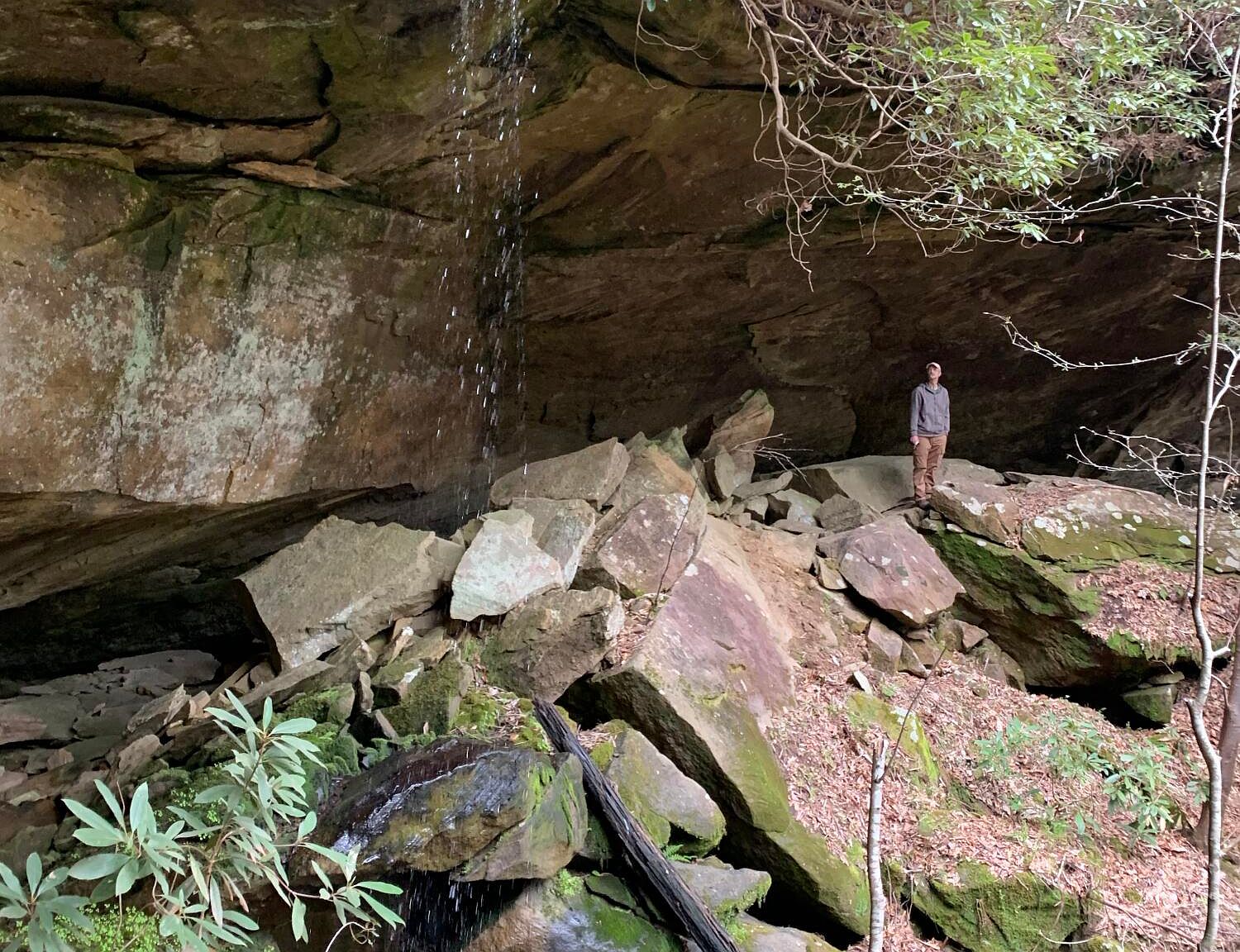 9 Trent Ridge Rd, Morehead, KY 40351 Zillow