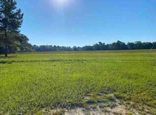 5028 Falcon Ln, Garfield, GA 30425