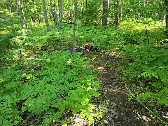 5th image of 14343 Eagles Ridge Rd