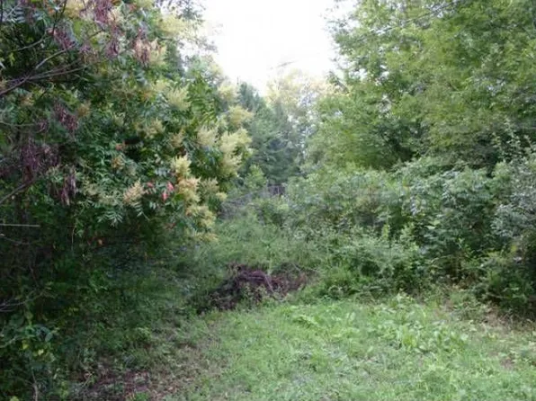 3071 Mica Way, Cosby, TN 37722