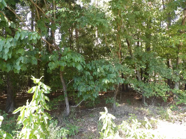 LOT 40 Glenwood Dr, Monticello, AR 71655