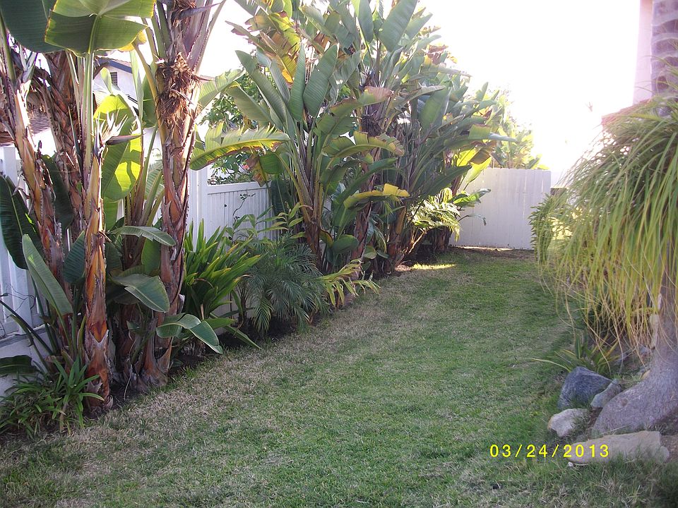 2nd image of 5674 Calle Sal Si Puedes