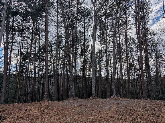 2nd image of LOT 30 31 Eagle Ridge Rd