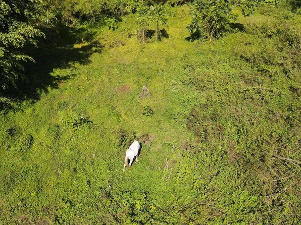 State Highway 928 Km #4.4, San Lorenzo, PR 00754