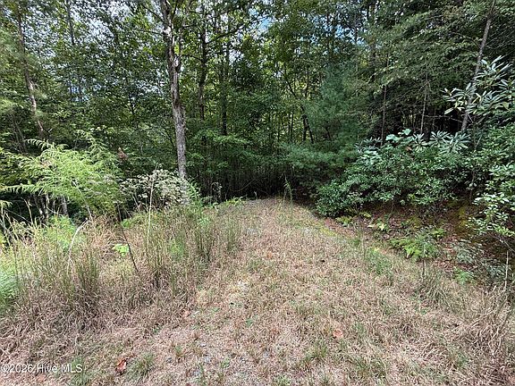 3rd image of 190 Leisey Lane