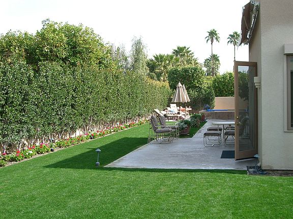 Partial Rear Yard ~ 1