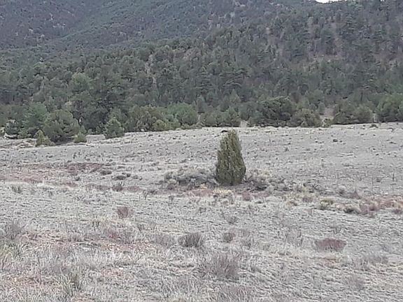 5th image of 2980 County Road 1