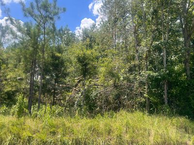 0 Gilchrist Rd, Edgefield, SC, 29824