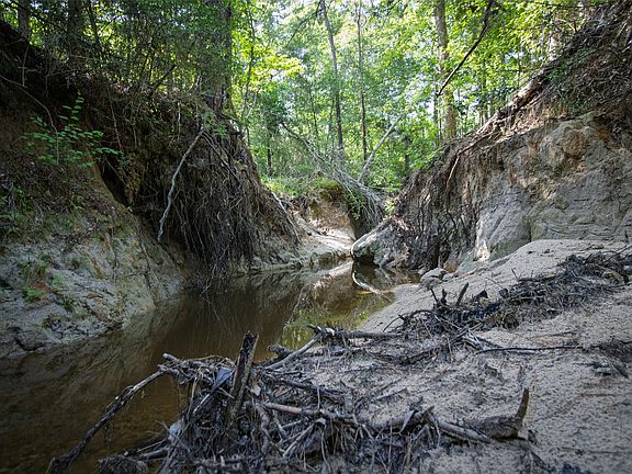 2nd image of 0 County Road 2180