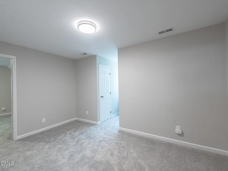 101 Flora McDonald Ln — Photo 16