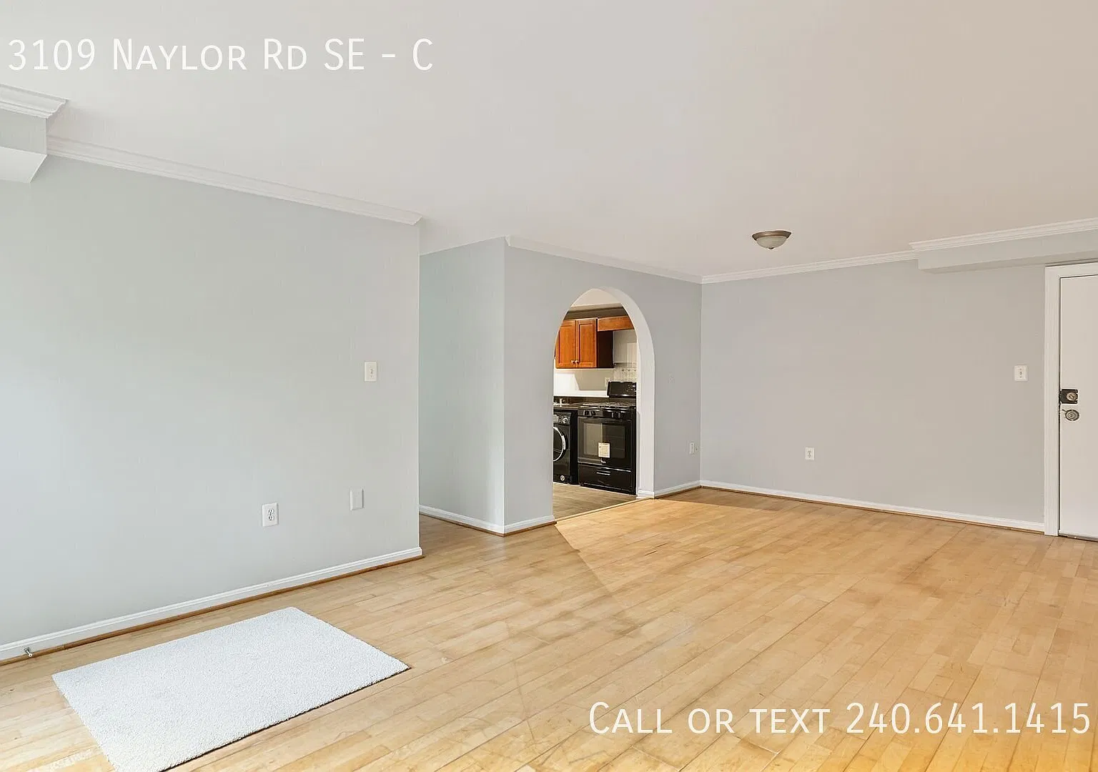 Charming 2 BR/1 BA Condo in Buena Vista! — Photo 3