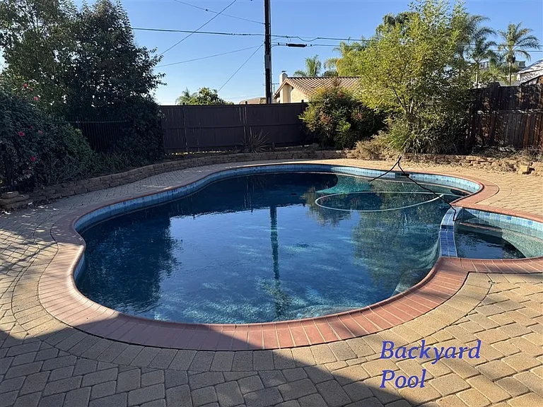 800 Lacebark St — Photo 6