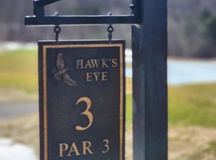 300 Goshawk Way, Bellaire, MI 49615