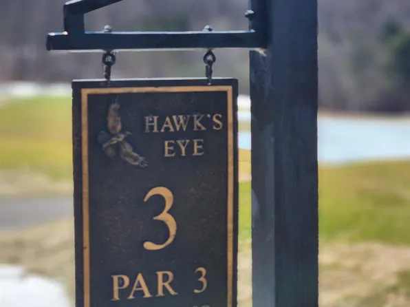 300 Goshawk Way, Bellaire, MI 49615