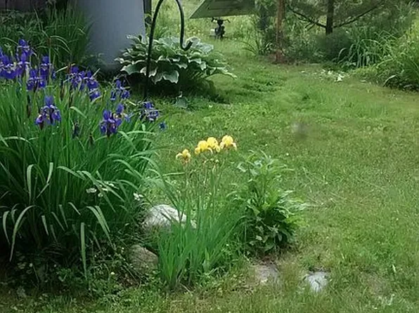 1437 Jefferson Hill Rd, Newbury, VT 05069