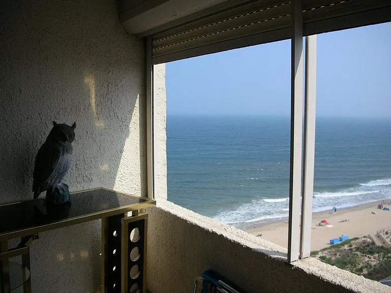 8500 Coastal Hwy #1207 — Photo 9