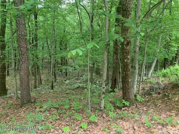 LOT A257 Maple Ln, Jim Thorpe, PA 18229