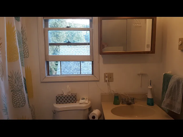 35 Ardale St — Photo 5