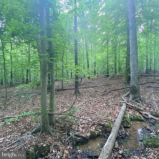 1st image of Bowlers Mill Run #0