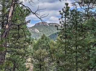 13745 Shiloh Dr, Conifer, CO 80433