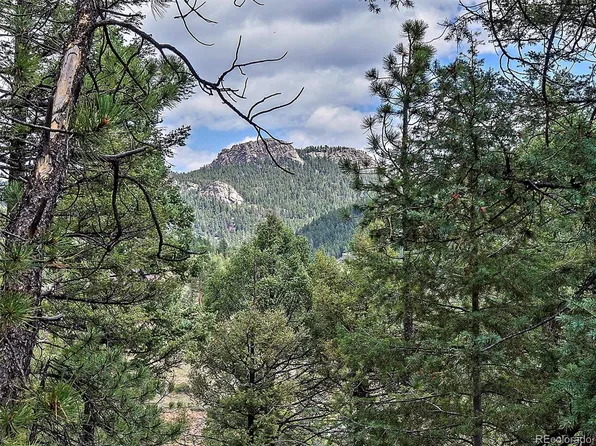 13745 Shiloh Drive, Conifer, CO 80433