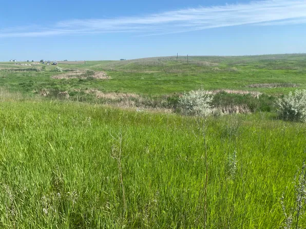 10650 386th Ave, Frederick, SD 57441