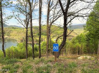60 Cowan Town Rd, Butler, TN 37640