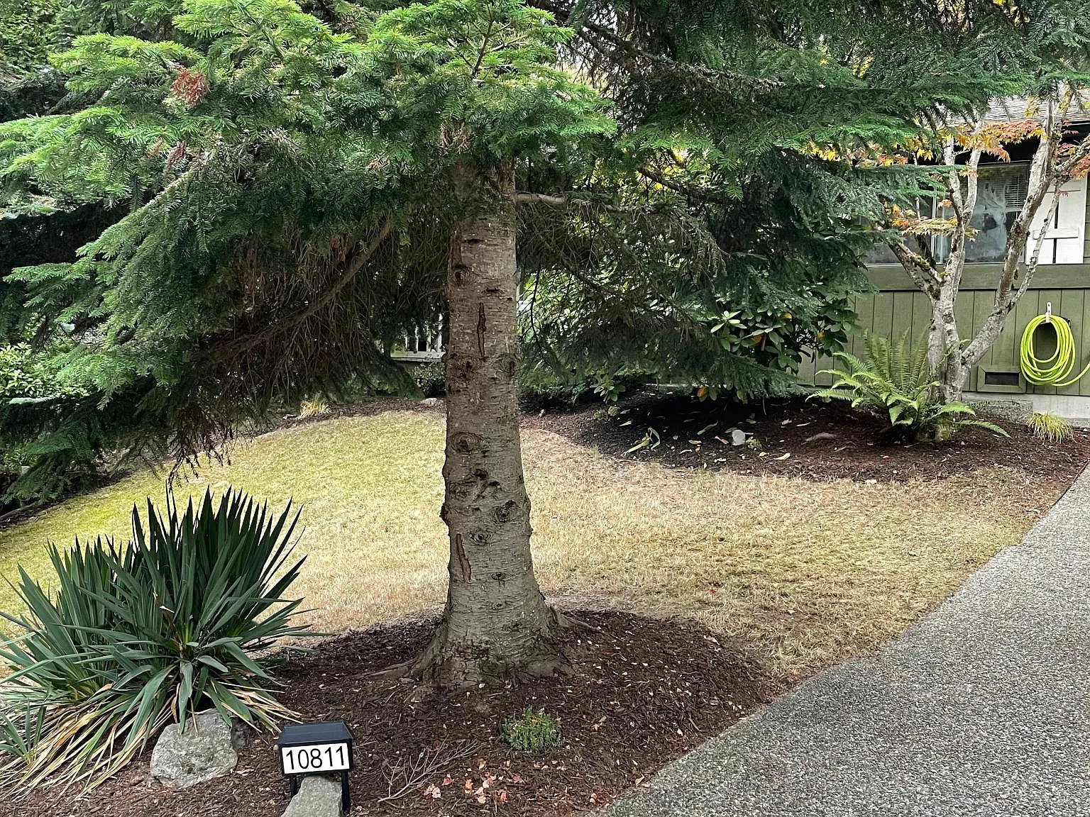 3 bed, 940 sqft, $3,000 — Photo 1