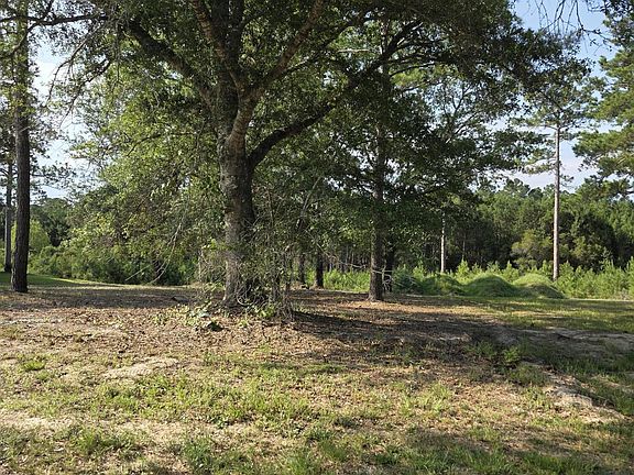 4th image of 7547 Wallace Pl SW Lot 33