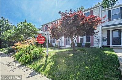 Gorgeous Day Lilies!