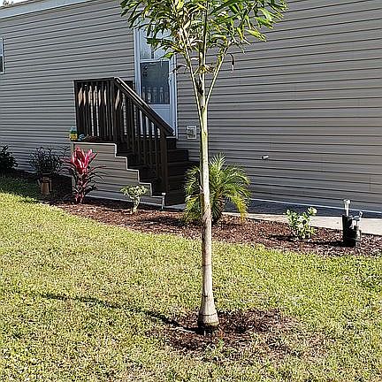 3rd image of 238 Lucerne Ave
