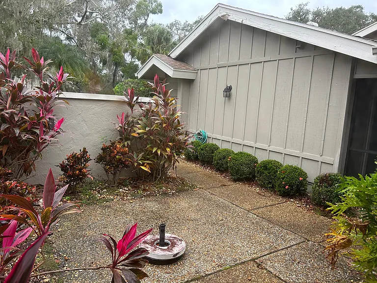 Front courtyard from living room sliders
