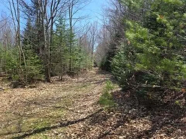 Lot 26-1 Old County Road, West Paris, ME 04289
