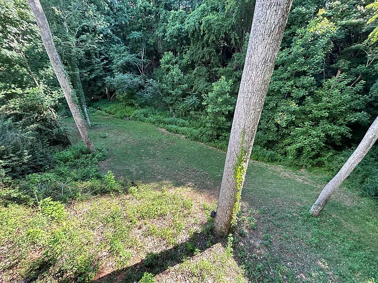 4540 Pebble Lake Dr — Photo 79