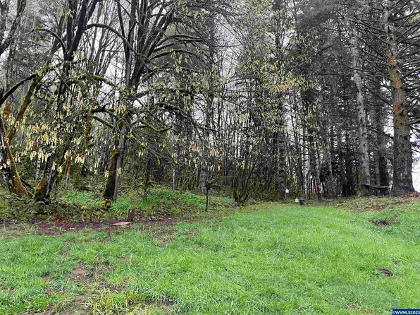 20429 Alsea Hwy, Alsea, OR 97324