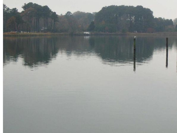 20720 Golden Thompson Rd, Coltons Point, MD 20626