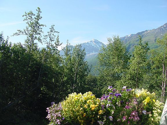 Summer View (South)